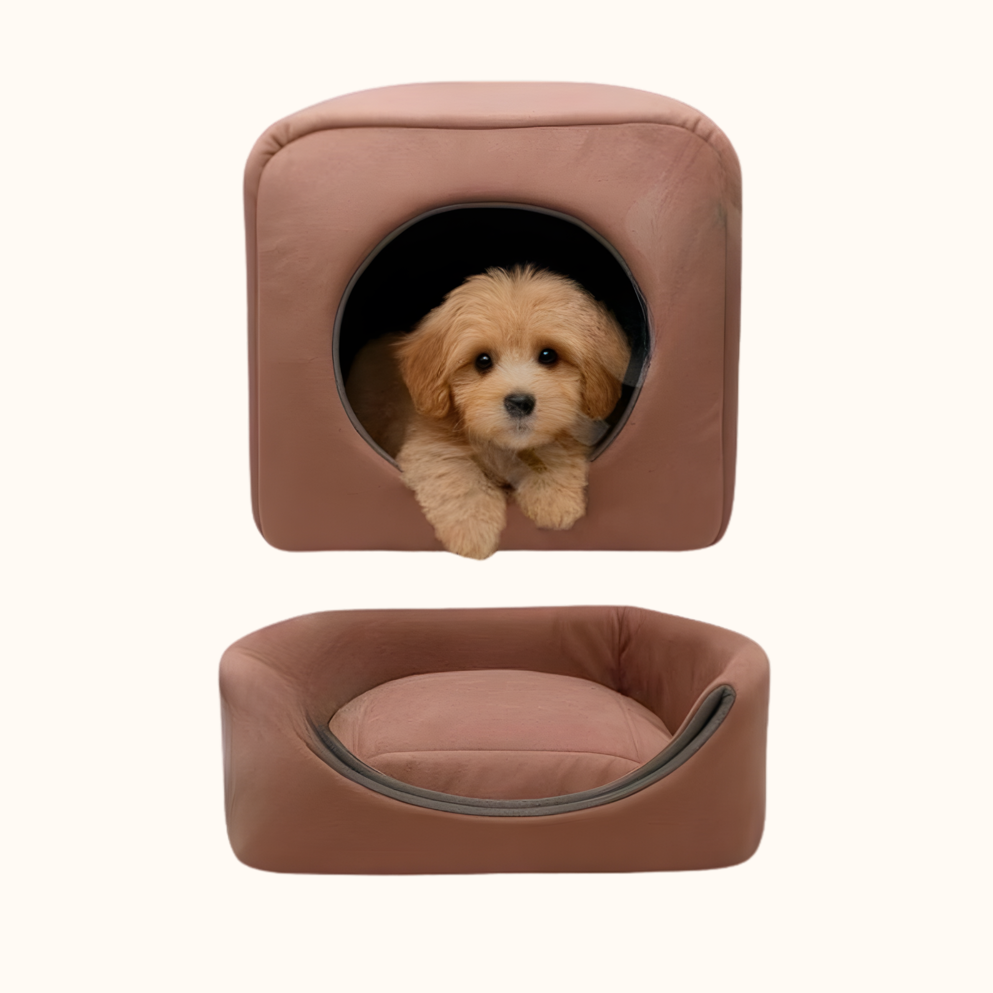 Casinha Iglu Pet 3 em 1 | Conforto, Proteção e Sono Tranquilo