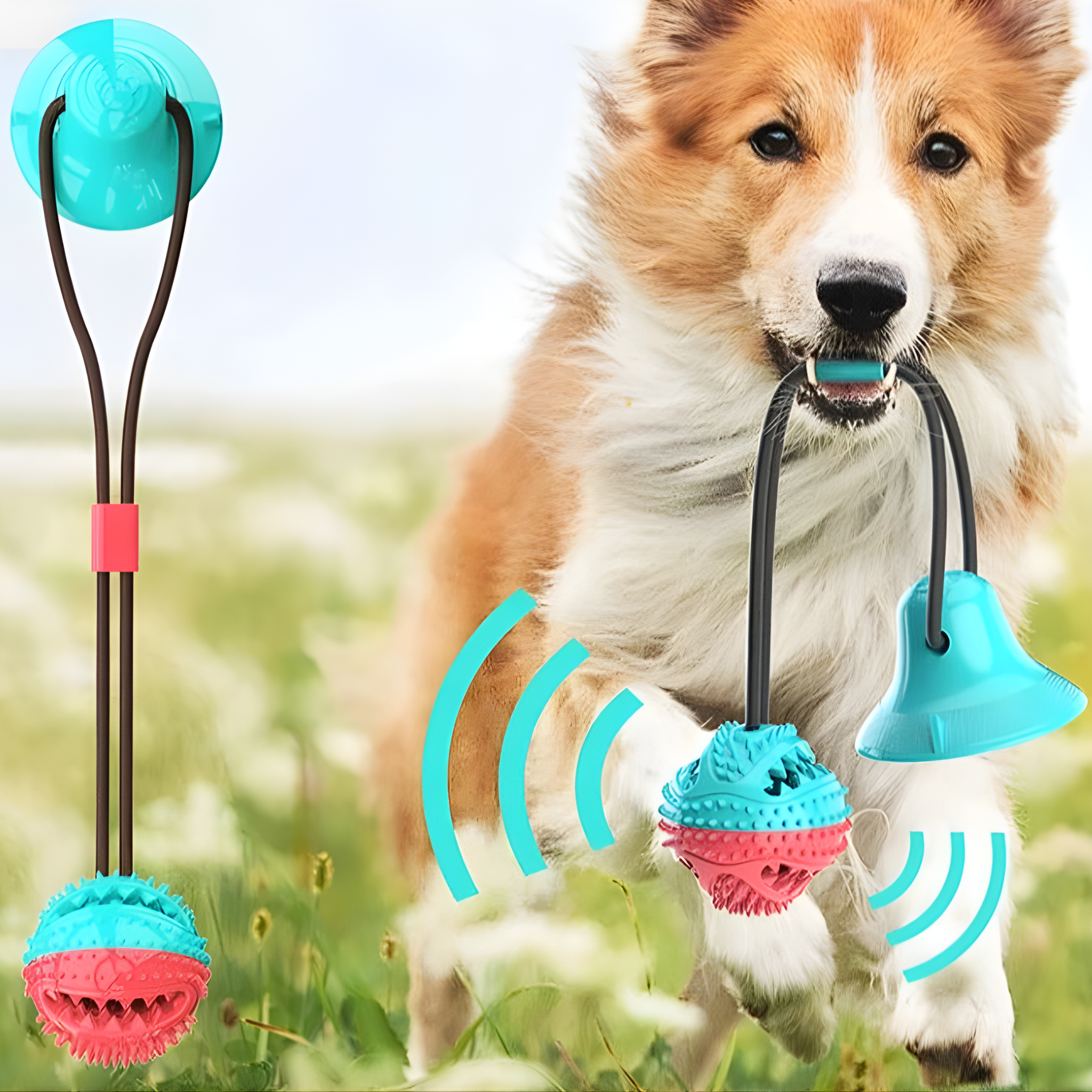 Brinquedo Interativo Pet com Ventosa | Diversão e Energia por Mais Tempo