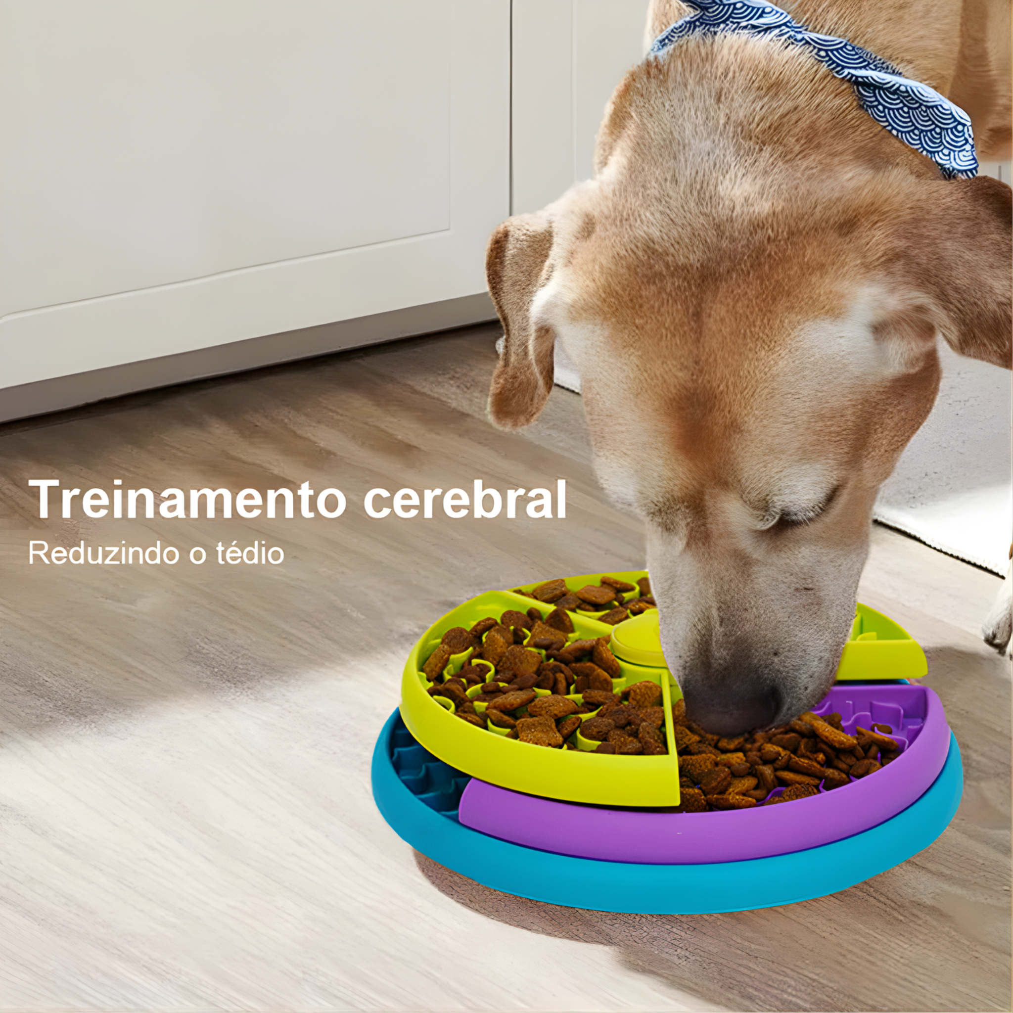 Comedouro Labirinto Giratório | Alimentação Lenta e Mais Saúde