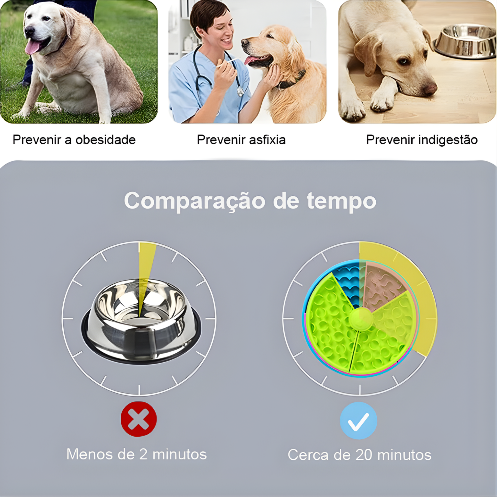 Comedouro Labirinto Giratório | Alimentação Lenta e Mais Saúde
