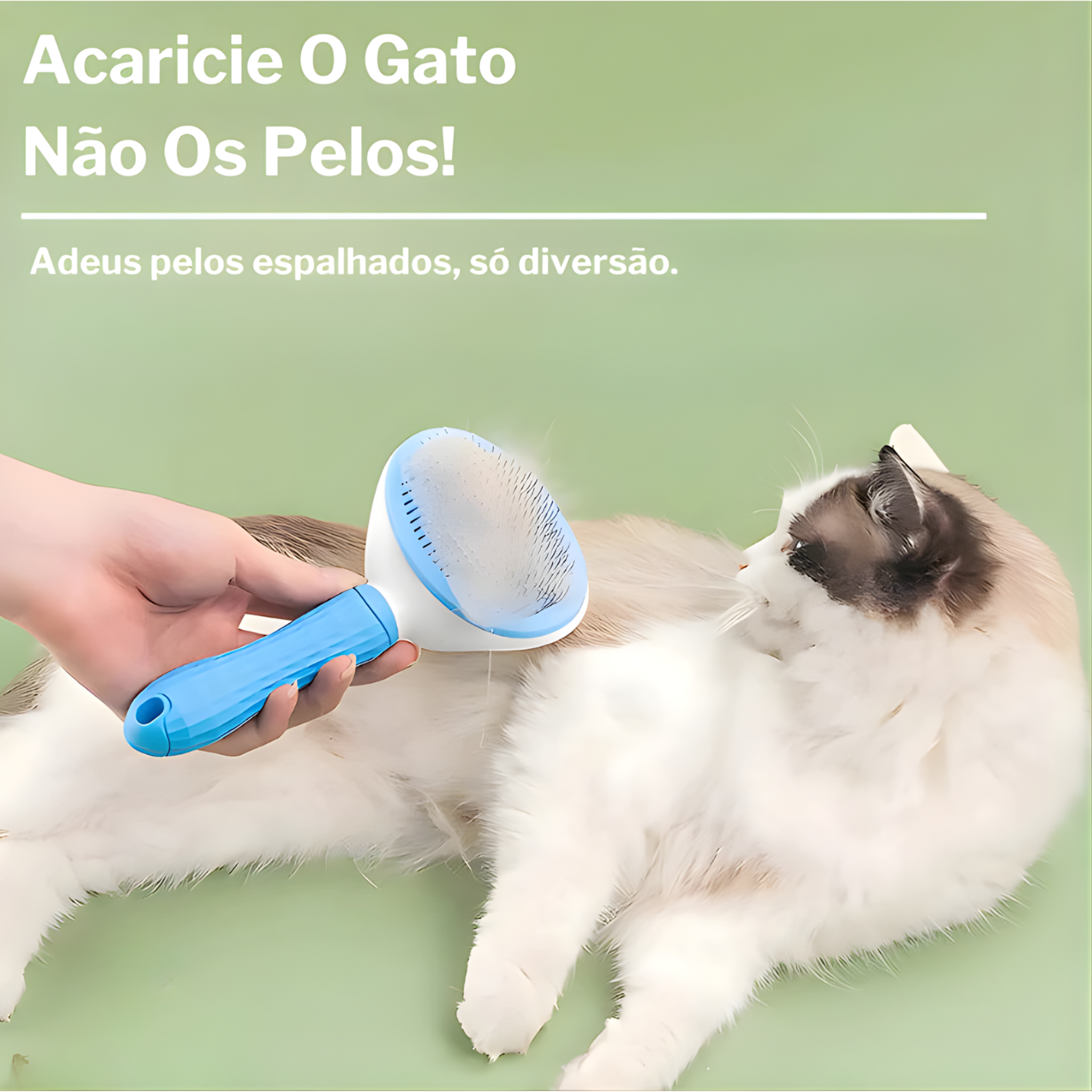 Kit Higiene Pet 4 em 1 | Pelos, Unhas e Cuidados Completos